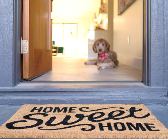 Dog sitting in doorway, doormat says Home Sweet Home